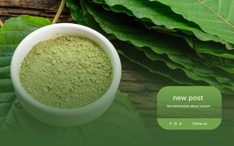 How-to-Choose-a-Reliable-Kratom-Supplier-from-Indonesia