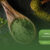 Indonesia’s-Best-Premium-Kratom-Supplier-Ready-for-Export