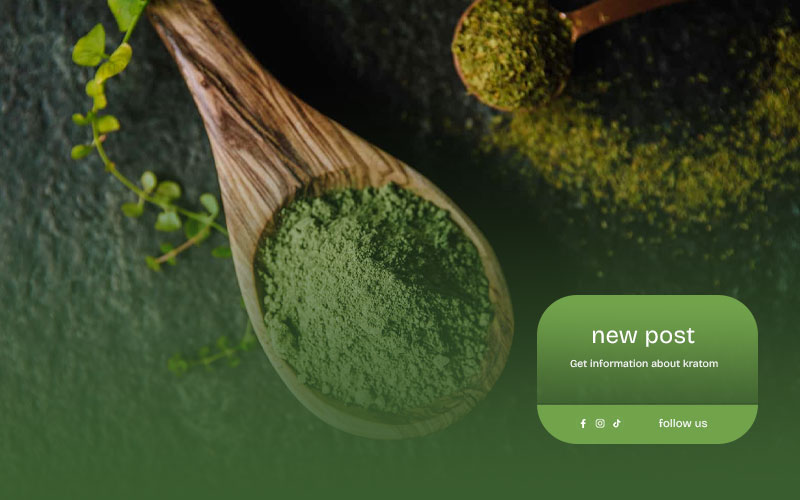Indonesia’s-Best-Premium-Kratom-Supplier-Ready-for-Export