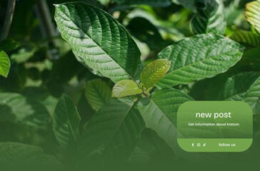 Learn-About-the-Health-Benefits-and-Applications-of-Kratom