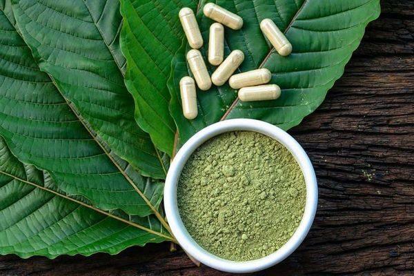gallery kratom (1)