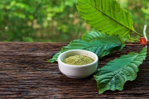 gallery kratom (4)