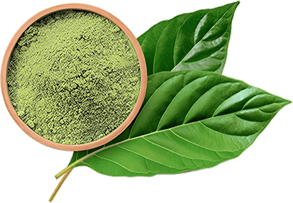 kratom-subh1