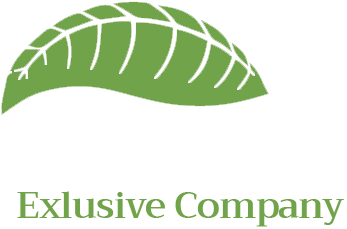 logo-footer