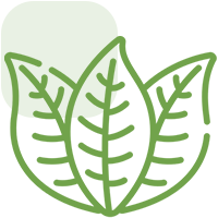 organic organic